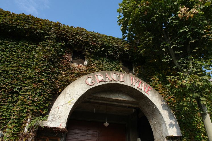 Grace Winery
