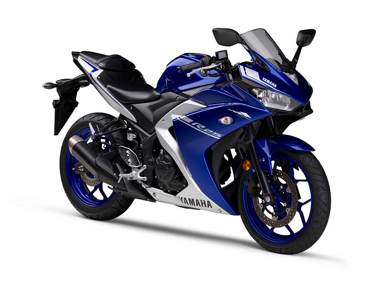 35_2017_YZF-R25_DPBMC_3