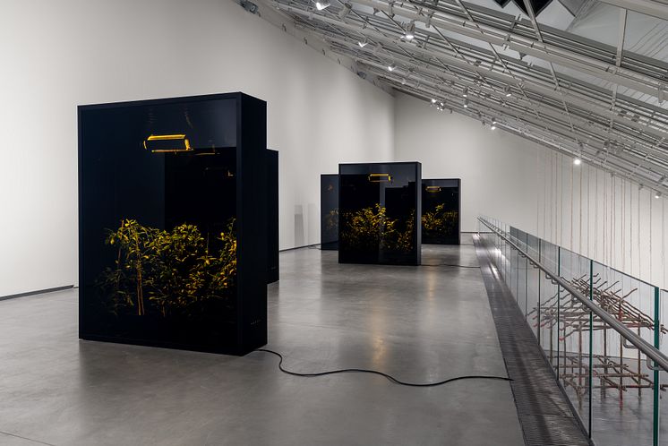 Exhibition view, Between Rivers © Astrup Fearnley Museet, 2024. Photo: Christian Øen