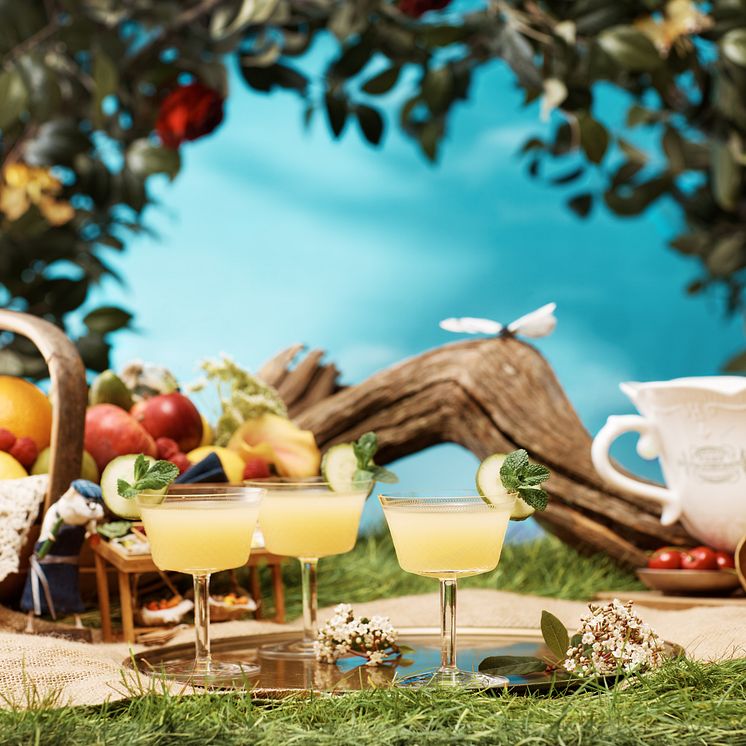 Hendrick's Summer Punch