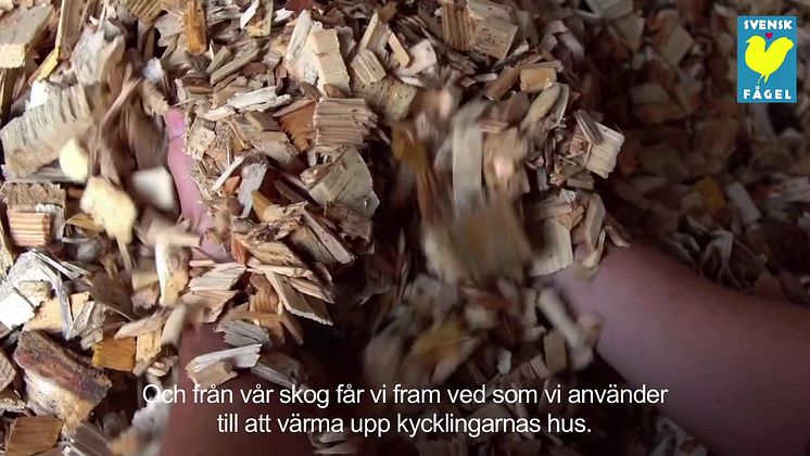Möt kycklingbonden Henrik på hans hållbara kretsloppsgård