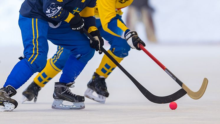 Bandy.jpg
