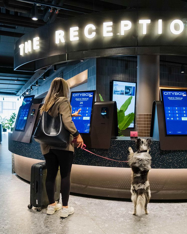 guest checking in via the terminals with dog