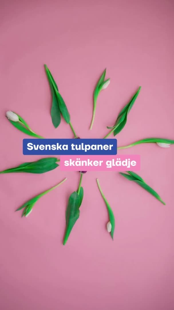 Annons Tulpaner_SoMe_hantverk_2_9x16.mp4