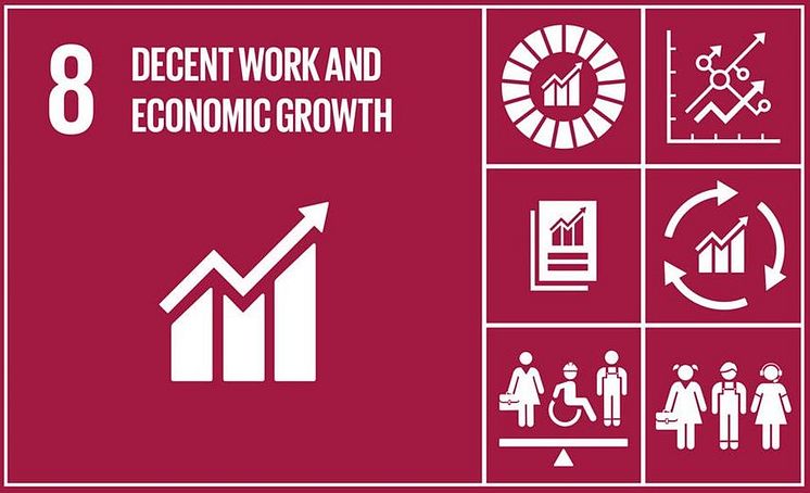 Sustainability goal 8.JPG