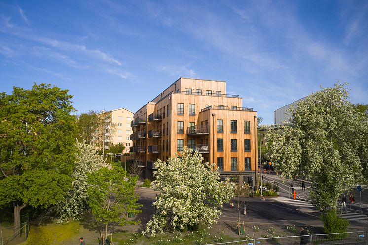 WFX Exterior Thermowood