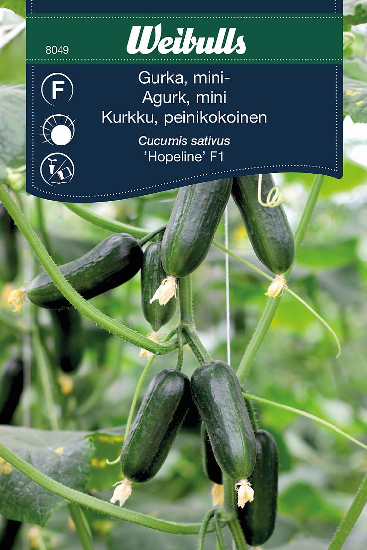 8049_gurka_hopeline.jpg