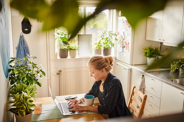 Hemmakontoret_gröna bladväxter