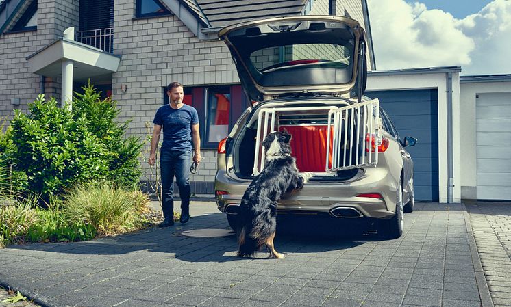 Hunde-Transportkiste