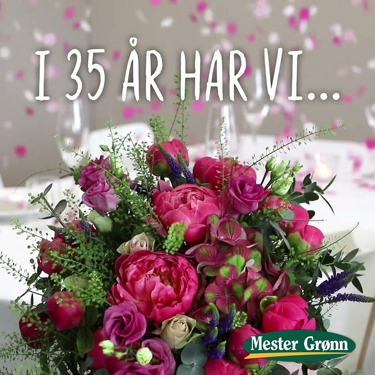 Mester Grønn feirer 35 år
