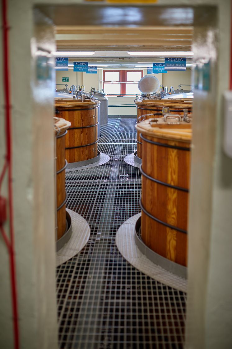 Washbacks.jpg