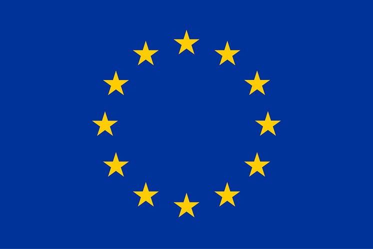       Co-funded by the Horizon 2020