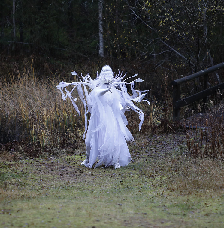 Dimälvornas drottning från Dimälvaskogen