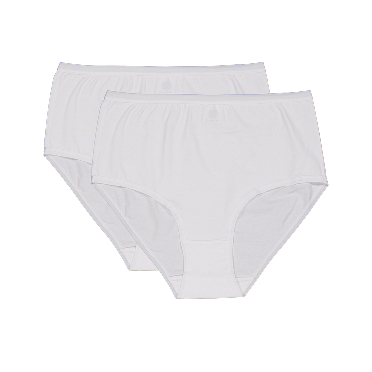 320143-10 plant.png