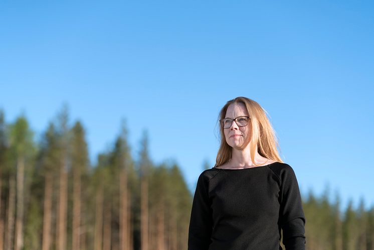 Skellefteå kommun upphandling Karin Degerfeldt 1