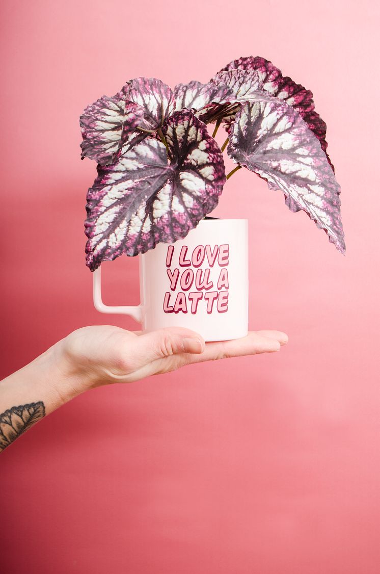 Lagerhaus_Valentine