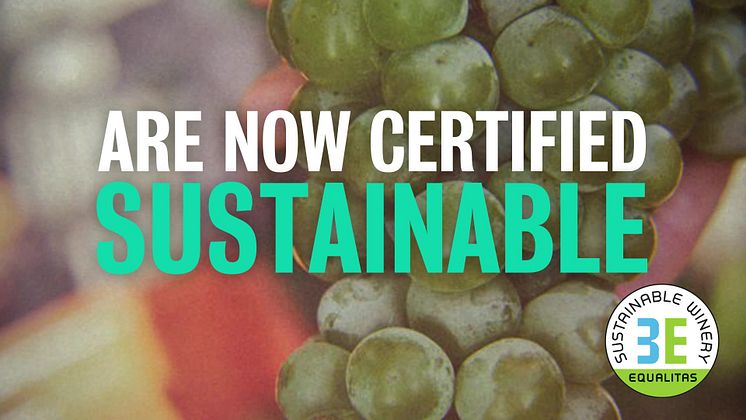 Martini_Sustainability_16x9.mp4