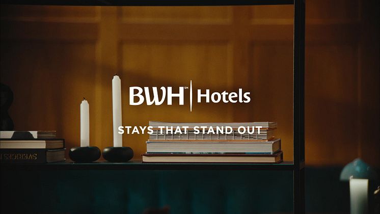 BW0007_HotelTheft_SE_Horse_OLV_20s.mp4
