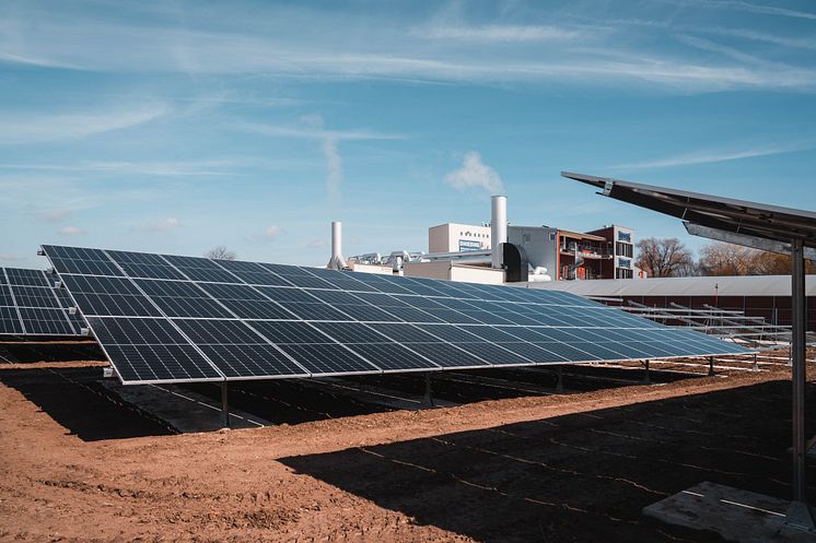 Interquell Petfood_Neuer Solarpark_©Interquell.jpg