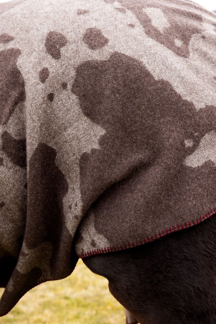 Byon AW25