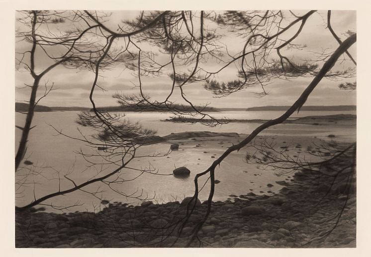 Gunnel Wåhlstrand, Through Branches, 2023. Tusch på papper, 154,6 x 220,4 cm. Inkl. ram.