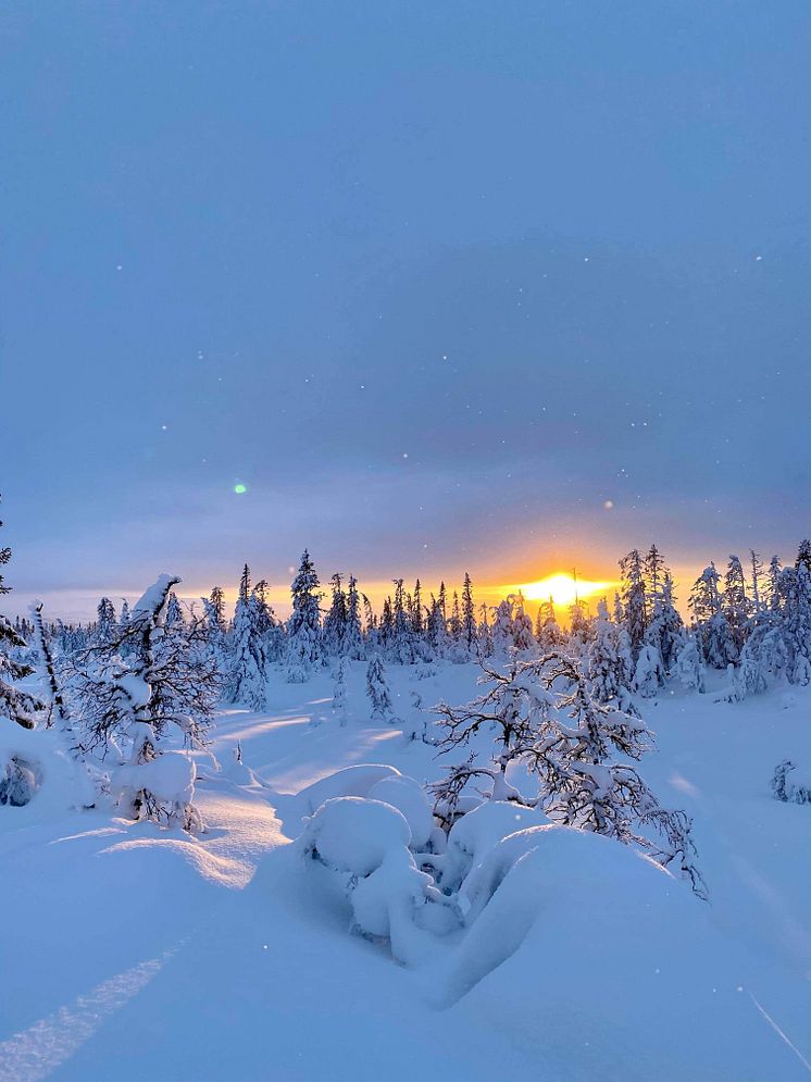Storhogna-Vemdalen.jpeg