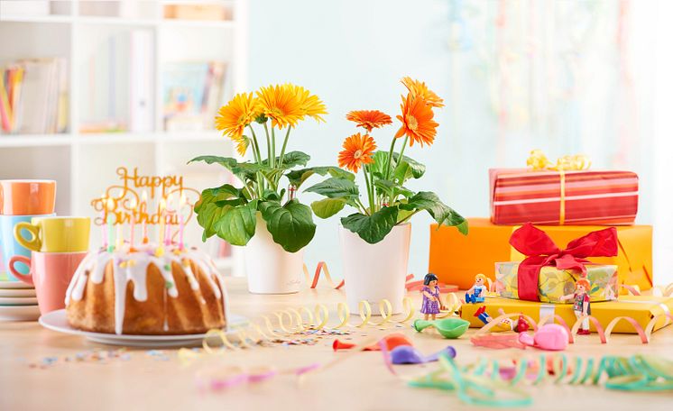 Pflanzenspaß mit dem MINI-DELTINI Kinder-Set