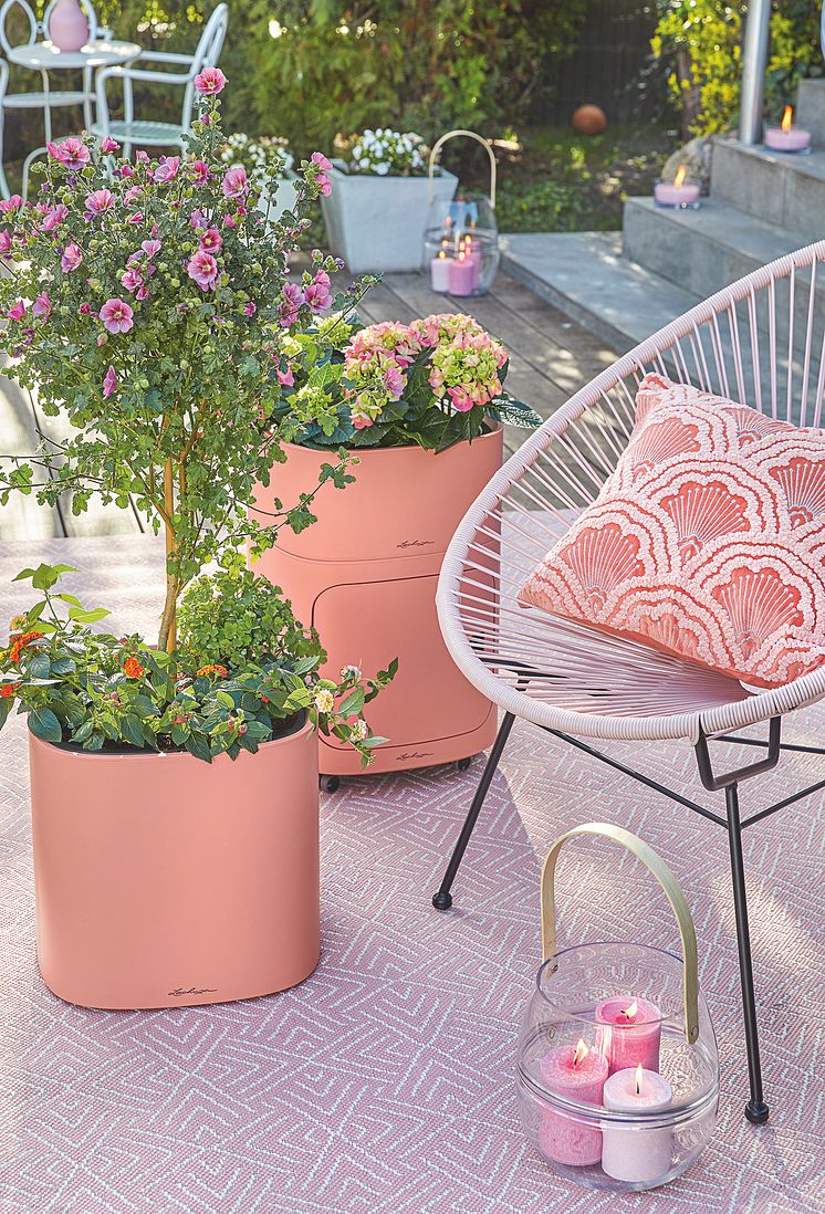 Garten und Terrasse in Sommerlaune