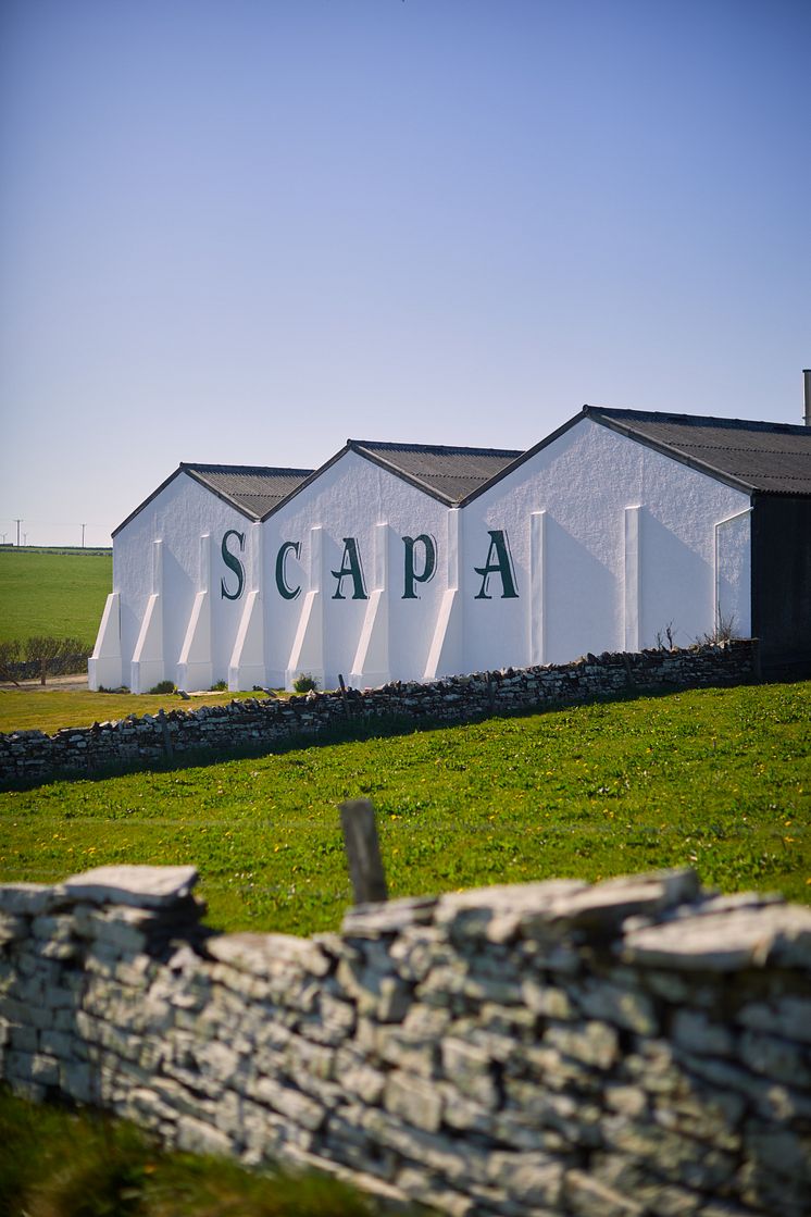 Scapa Wall .jpg