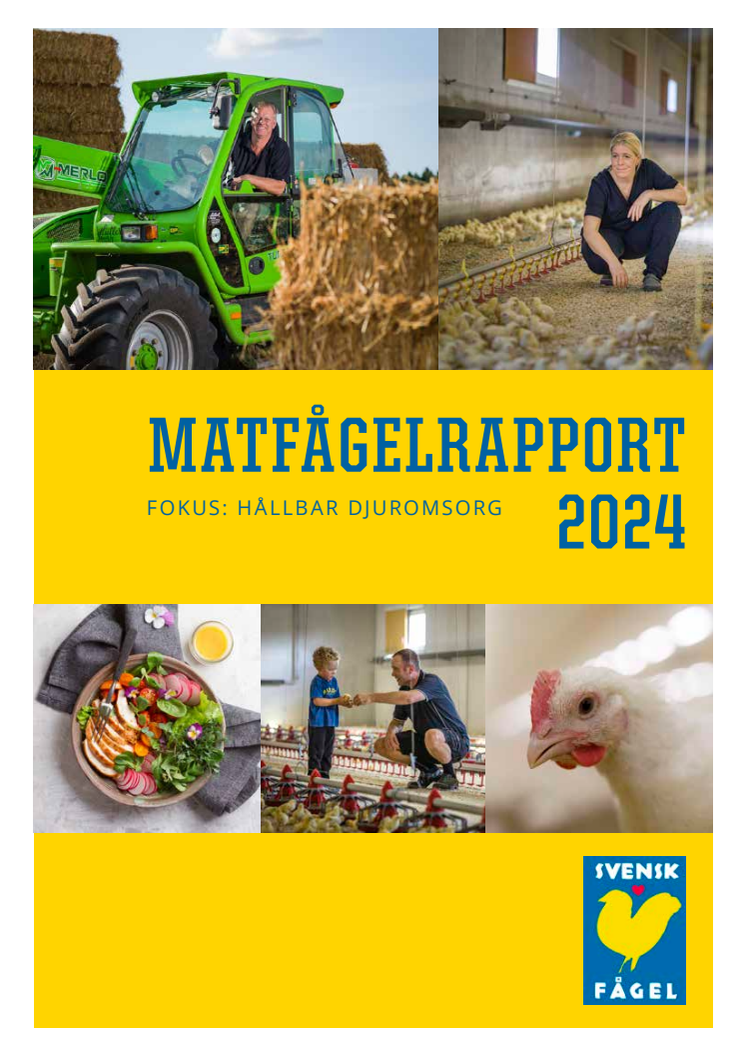 Matfågelrapport 2024.pdf