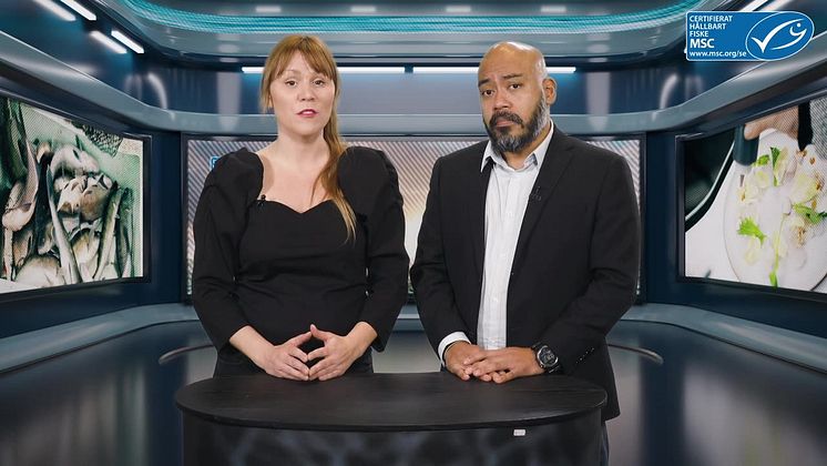  Studio MSC: Överfiske gör att världen går miste om protein till 72 miljoner människor