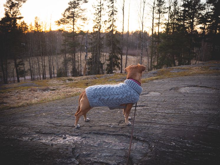 Basic Wool plait sweater grey dog.jpg