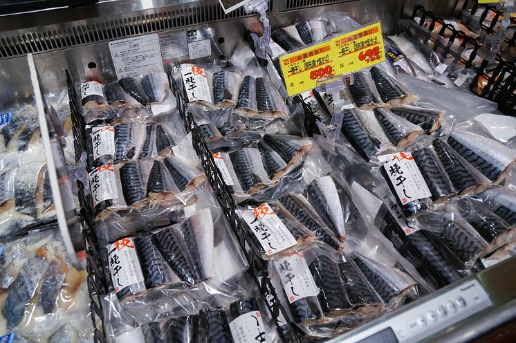 Mackerel_Japan.jpg