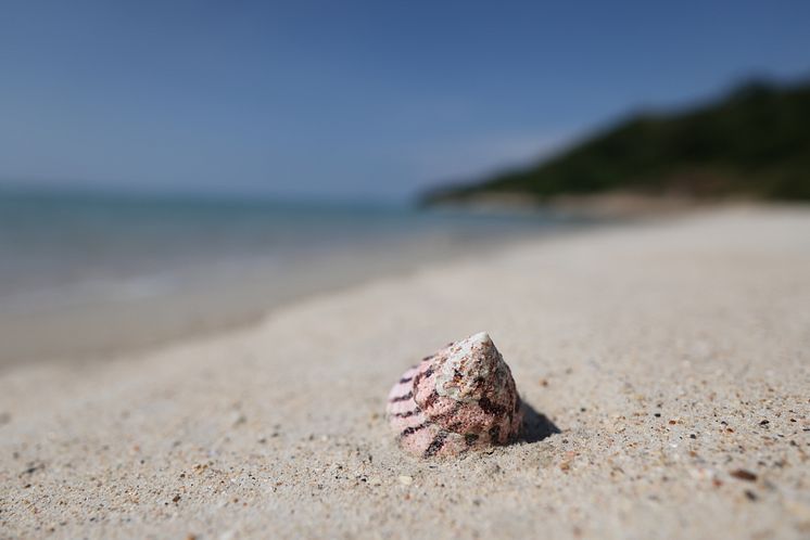 Canon RF20mmF1_4LVCM_Beach_Sample_CINC_073A1597[1].jpg
