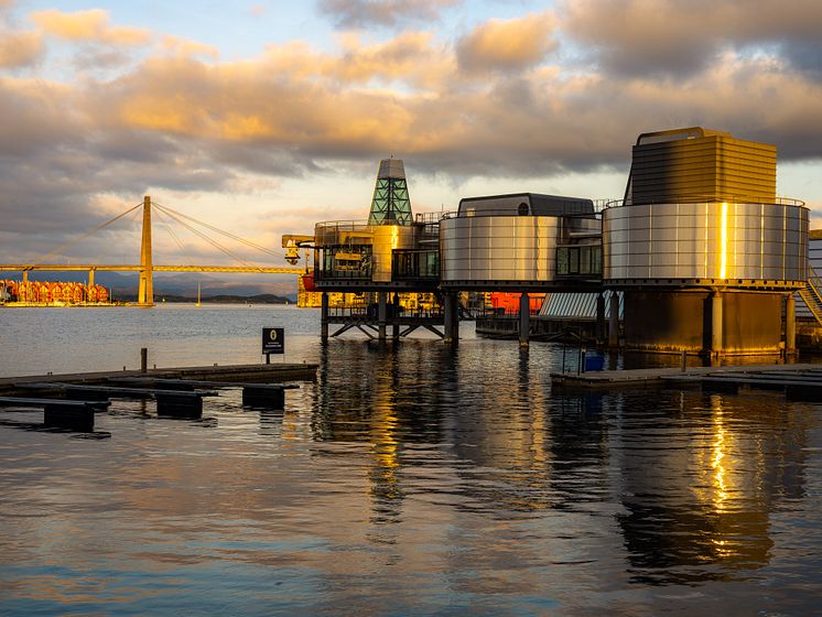 The Petroleum Museum