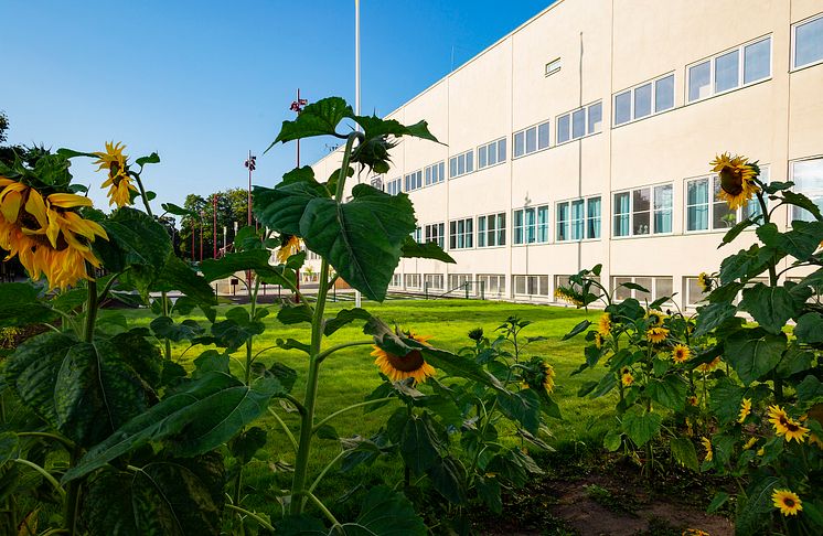 Exteriörbild på Tekniska museet, sommar.