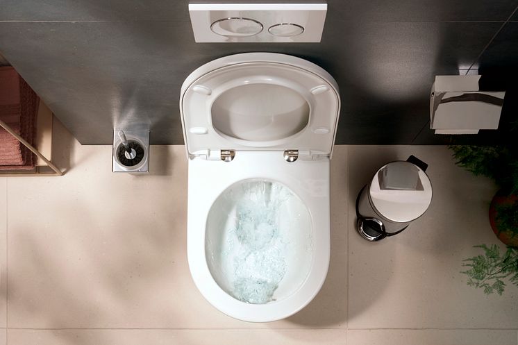 hansgrohe EluPura Original S toilet