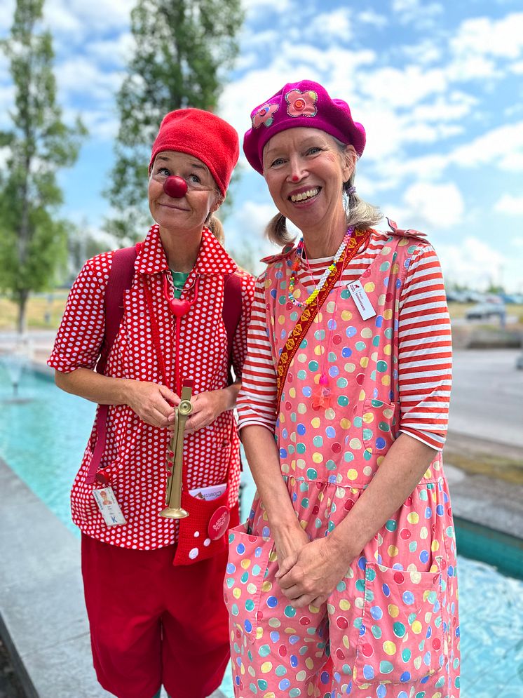 Clownkåren i Dalarna