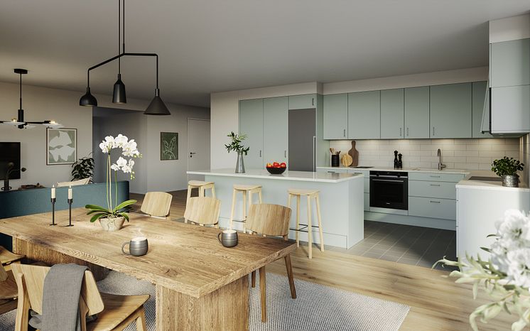 Hulte Gemensamt Kök Co-Living.jpg
