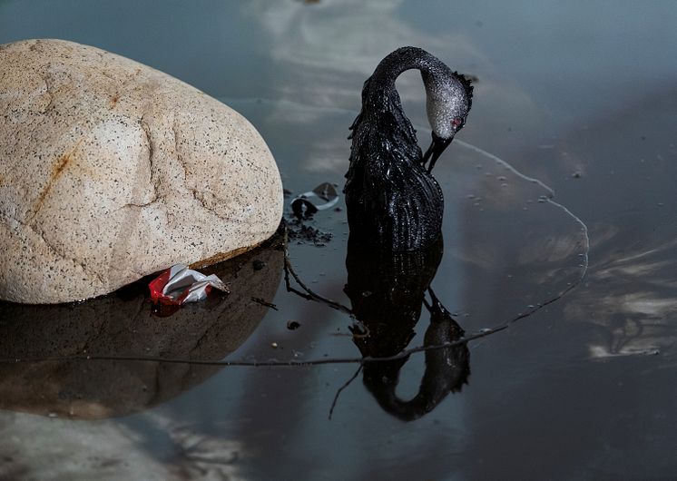 Laure Prouvost. Above Front Tears Oui Float