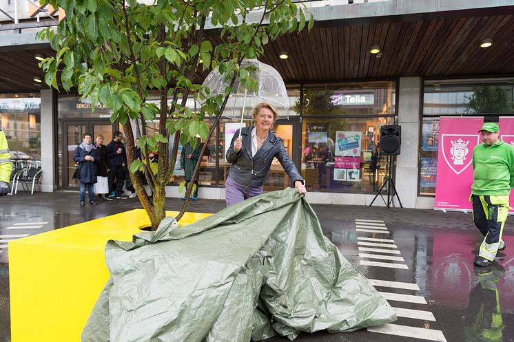 Trafikborggarådet Ulla Hamilton (M) inviger sommarmöbleringen kring Sergels torg. (Foto: Mikael Sjöberg.)