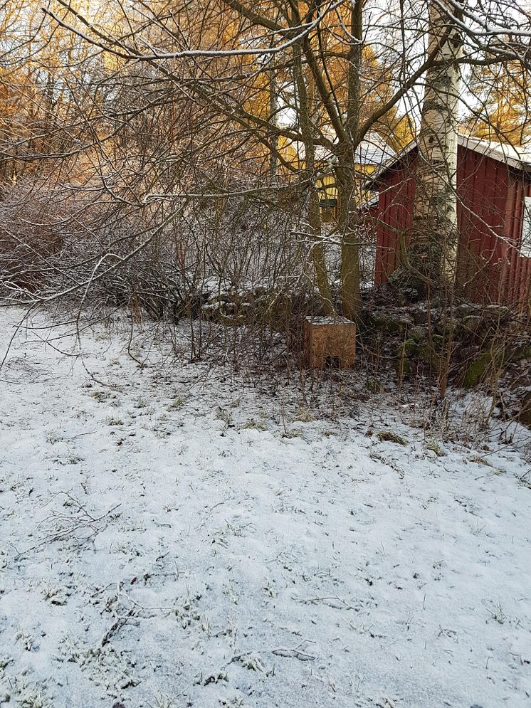 Igelkottshotell, Brf Umeåhus 1
