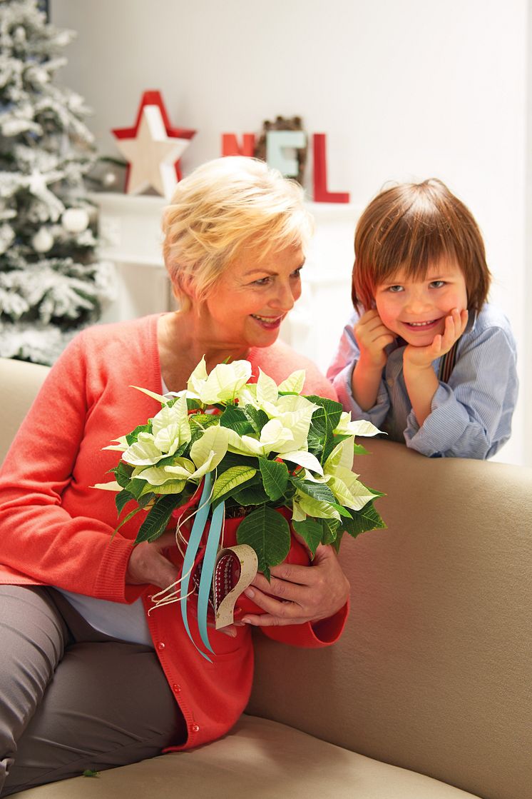 Julminnen