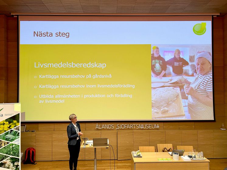 Försörjningsbalans