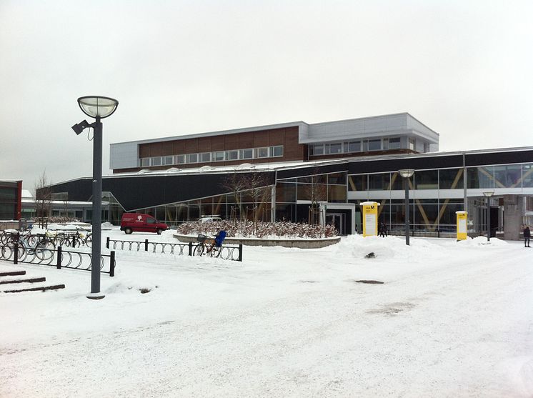 Trähuset N