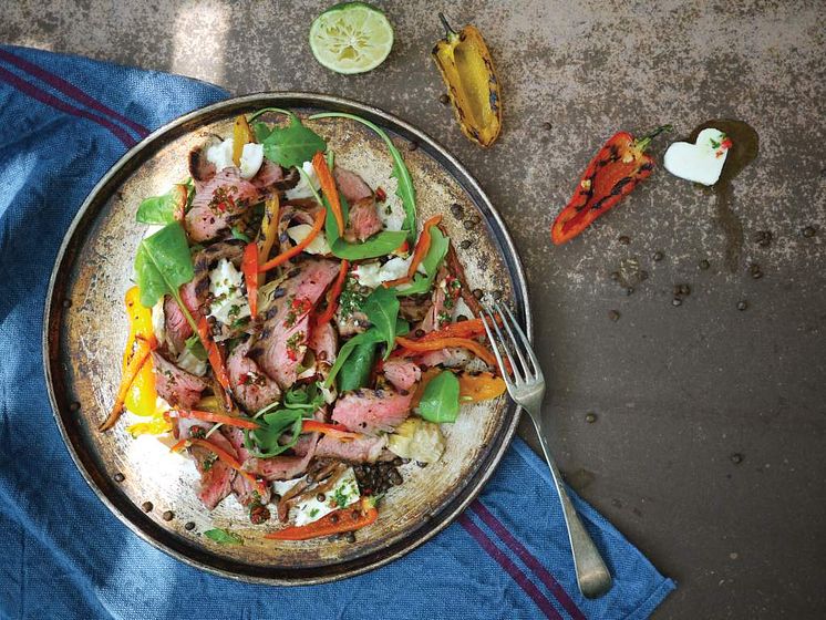 Breville - The Ultimate Grill