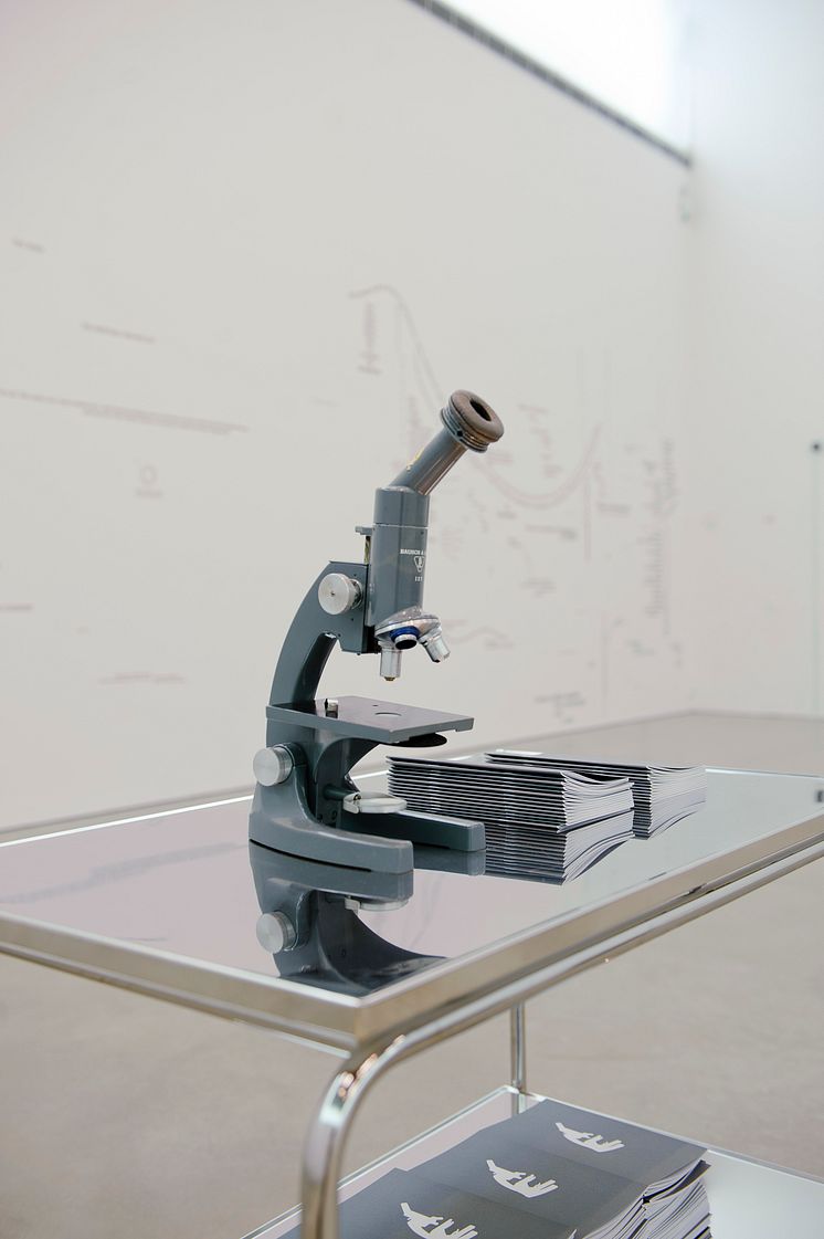 The Spiral and the Square, Natascha Sadr Haghighian, The Microscope, 2006