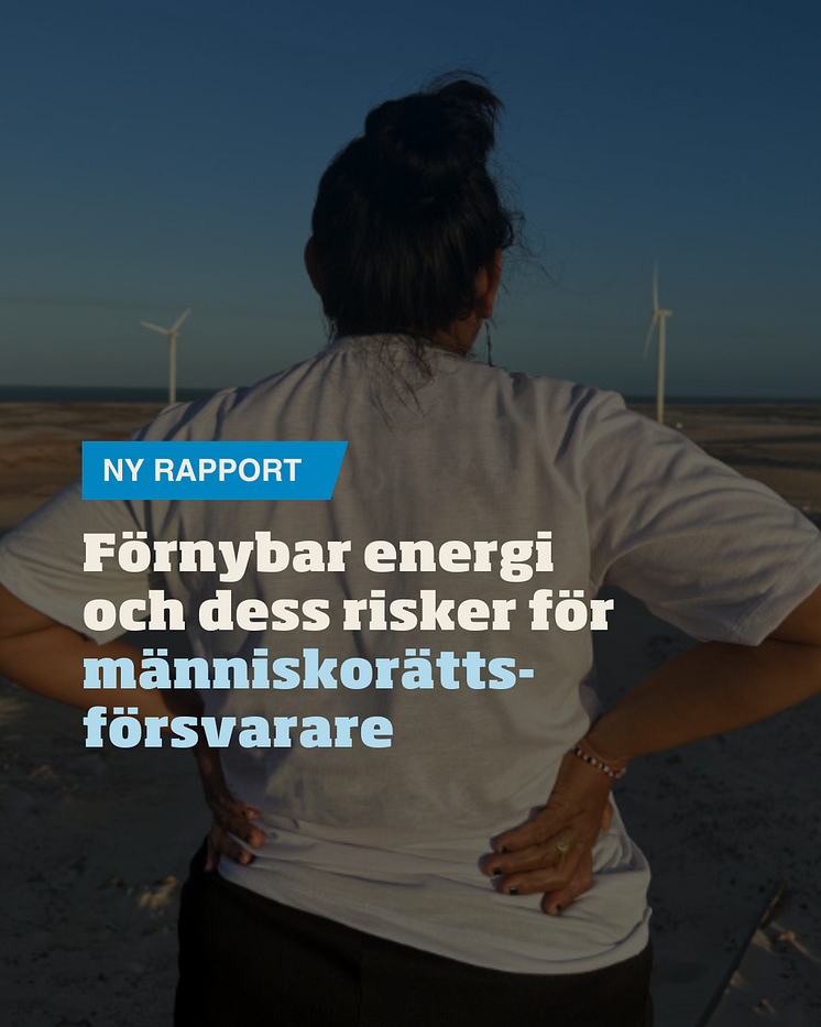 Omslag 2.png