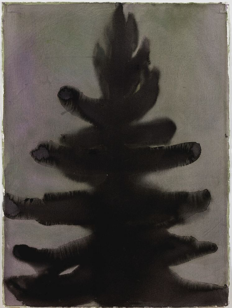 Mats Gustafson, Fir Tree, 2001, akvarell på papper