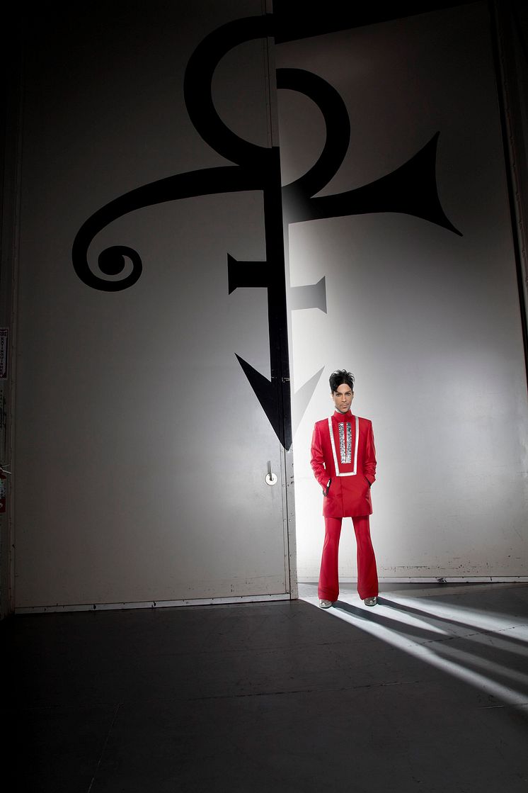 Prince - pressbild 2 The Prince Estate_credit - Mike Ruiz.jpg
